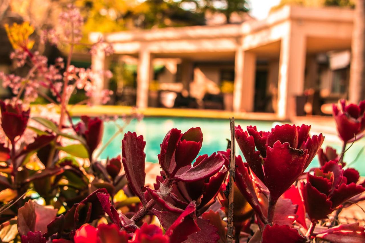 Lourie Lodge Sandton Bagian luar foto